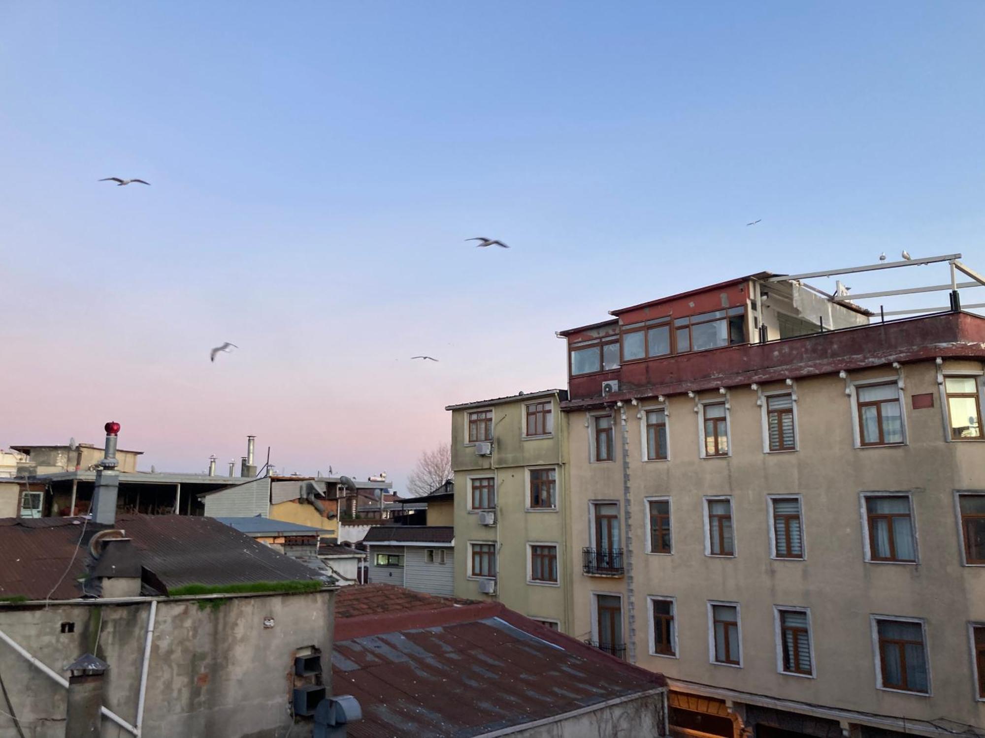 Ulusoy Old City Istanbul Exterior foto